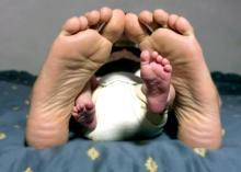 Fotokonkurss "Käbi ei kuku kännust kaugele"