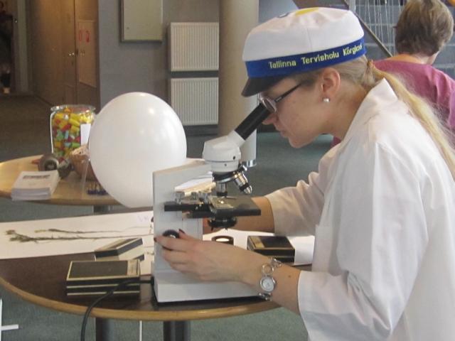 40. Merlin tööhoos